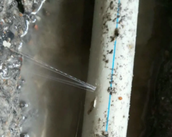 漠河卫生间测漏水多少钱