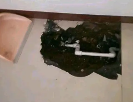 漠河卫生间测漏水多少钱